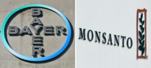 Bayer rachète Monsanto